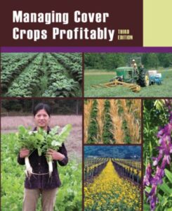 Improve Soil with Cover Crops Image